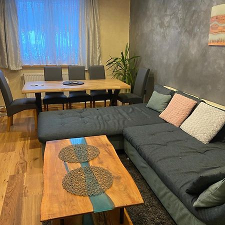 Apartman Orlicke Hory Orlicke Zahori Экстерьер фото