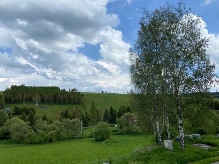 Apartman Orlicke Hory Orlicke Zahori Экстерьер фото